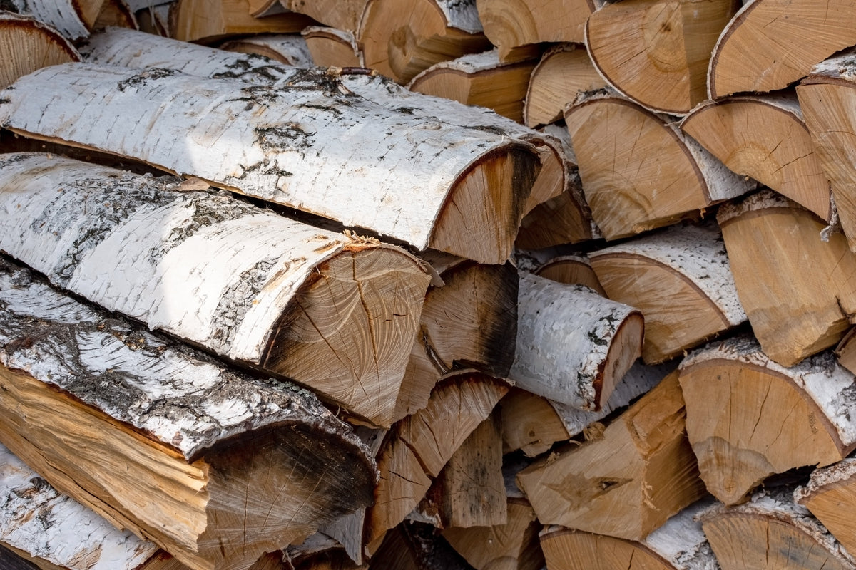 Birch firewood log stack